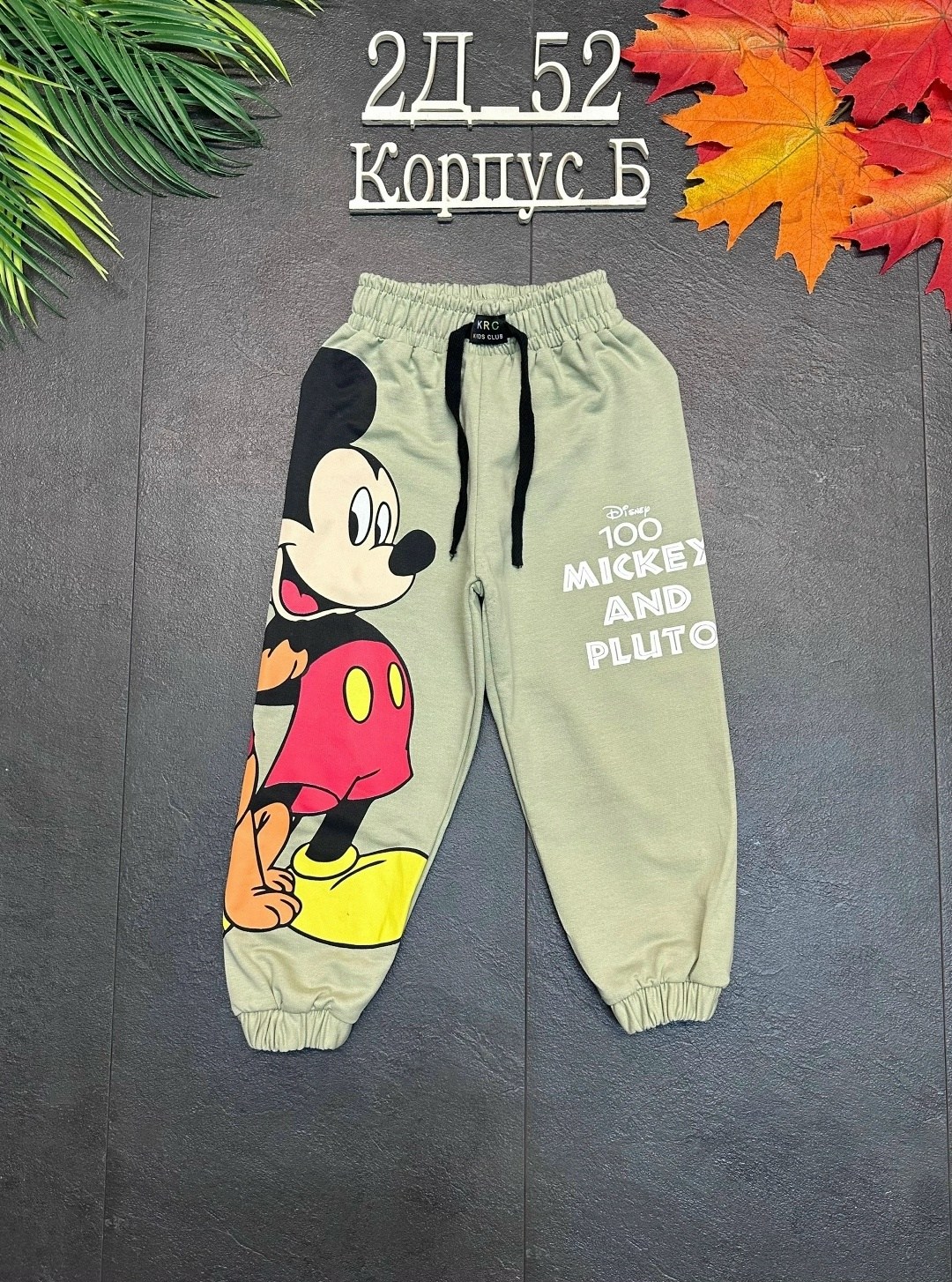 штаны для мальчика, ,детские брюки,детские штаны,брюки для мальчиков