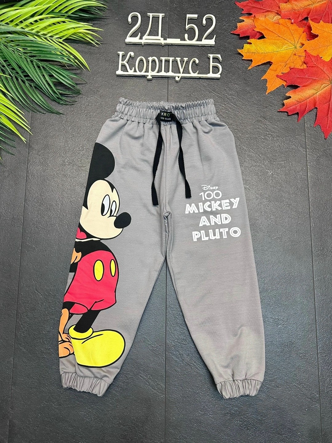 штаны для мальчика, ,детские брюки,детские штаны,брюки для мальчиков