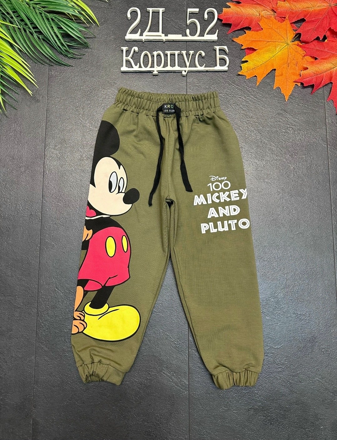 штаны для мальчика, ,детские брюки,детские штаны,брюки для мальчиков