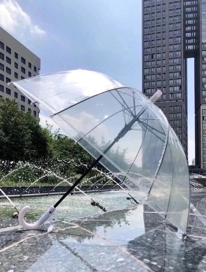 прозрачный зонт трость,зонтик прозрачный,зонт прозрачный,зонтик,зонт зонт