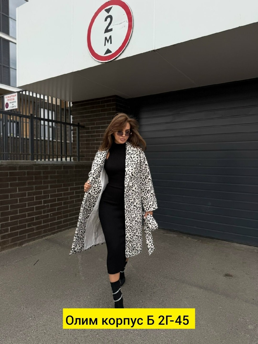 модное пальто,пальто женское,стильное пальто,пальто,пальто гусиная лапка