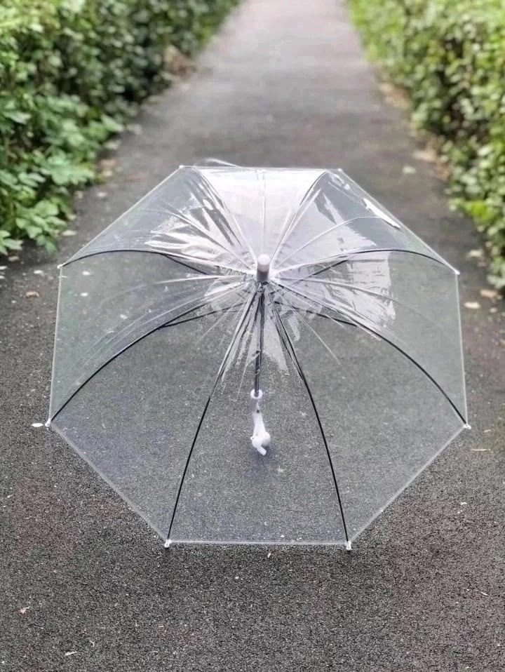 прозрачный зонт трость,зонтик прозрачный,зонт прозрачный,зонтик,зонт зонт