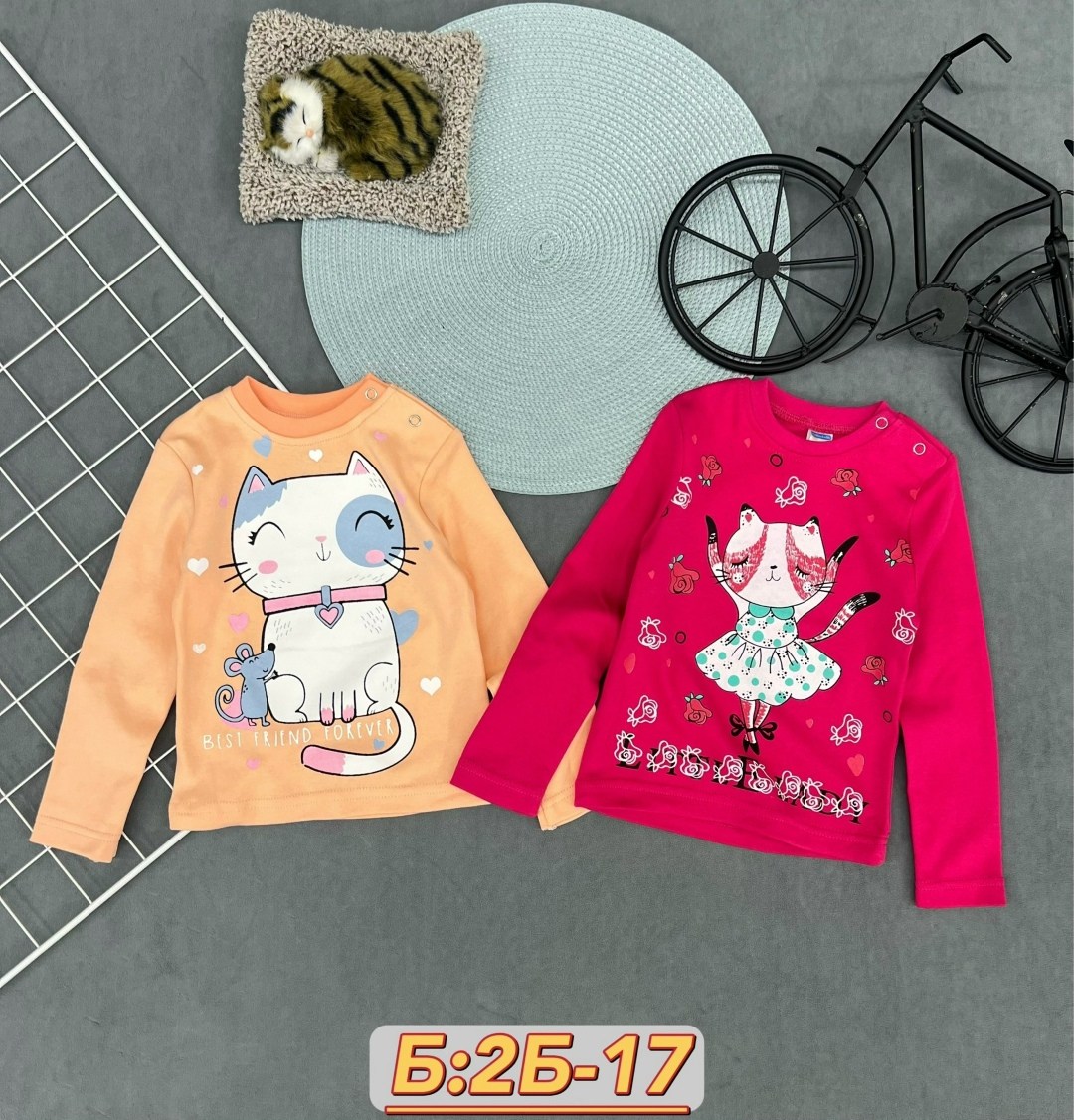 cвитшот для девочки,толстовка свитшот для девочки,кофта для девочки,детская кофта,кофта свитшот для девочек