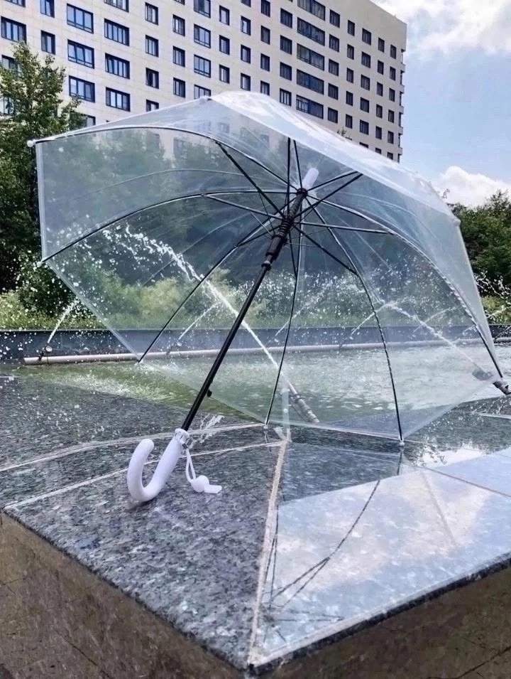 прозрачный зонт трость,зонтик прозрачный,зонт прозрачный,зонтик,зонт зонт