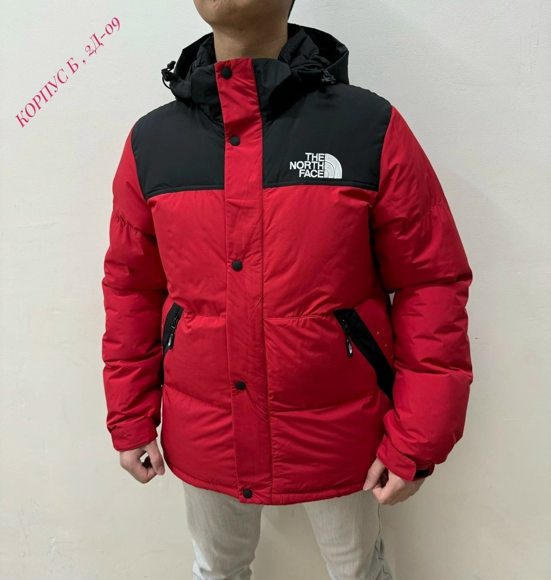 куртка мужская the north face,зимние куртки,мужская зимняя куртка,пуховик мужской the north face,куртка зимняя the north face