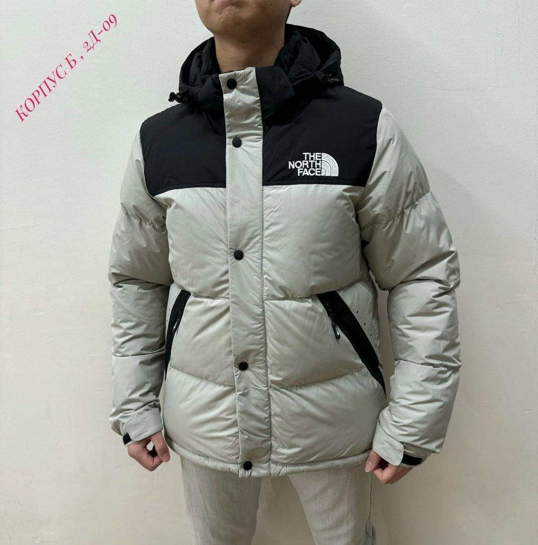 куртка мужская the north face,зимние куртки,мужская зимняя куртка,пуховик мужской the north face,куртка зимняя the north face