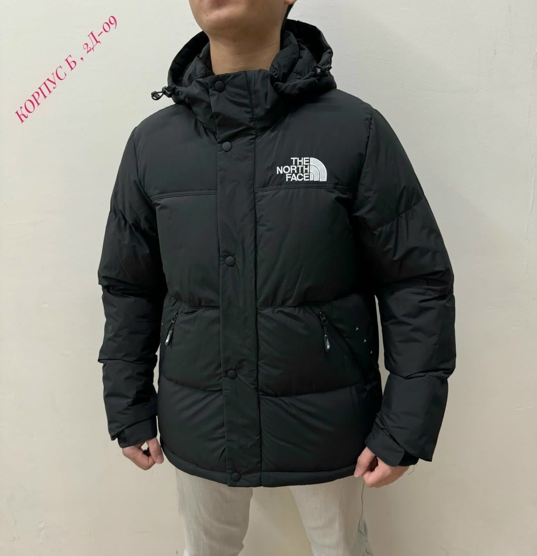 куртка мужская the north face,зимние куртки,мужская зимняя куртка,пуховик мужской the north face,куртка зимняя the north face