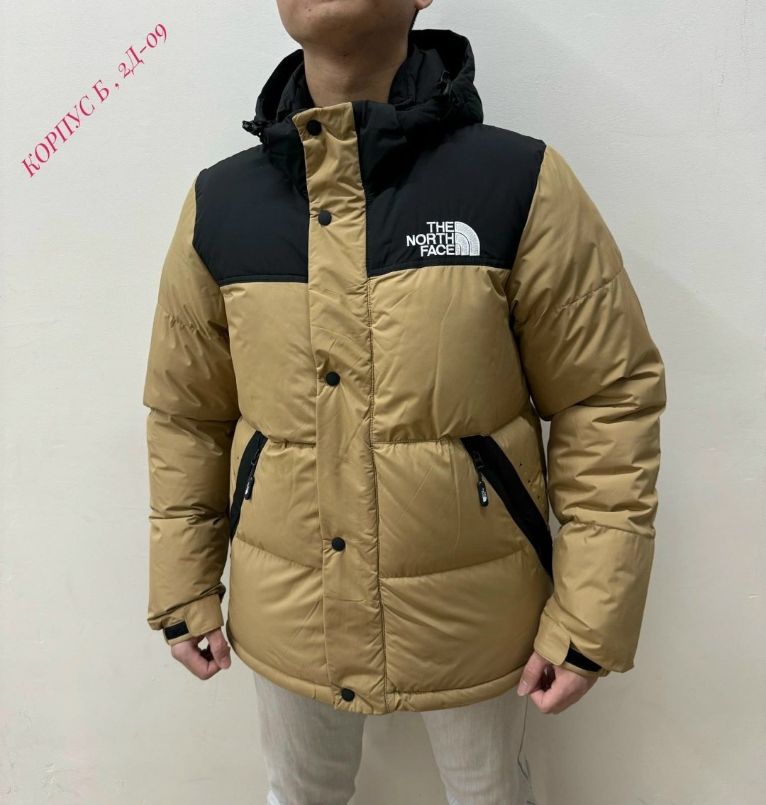 куртка мужская the north face,зимние куртки,мужская зимняя куртка,пуховик мужской the north face,куртка зимняя the north face