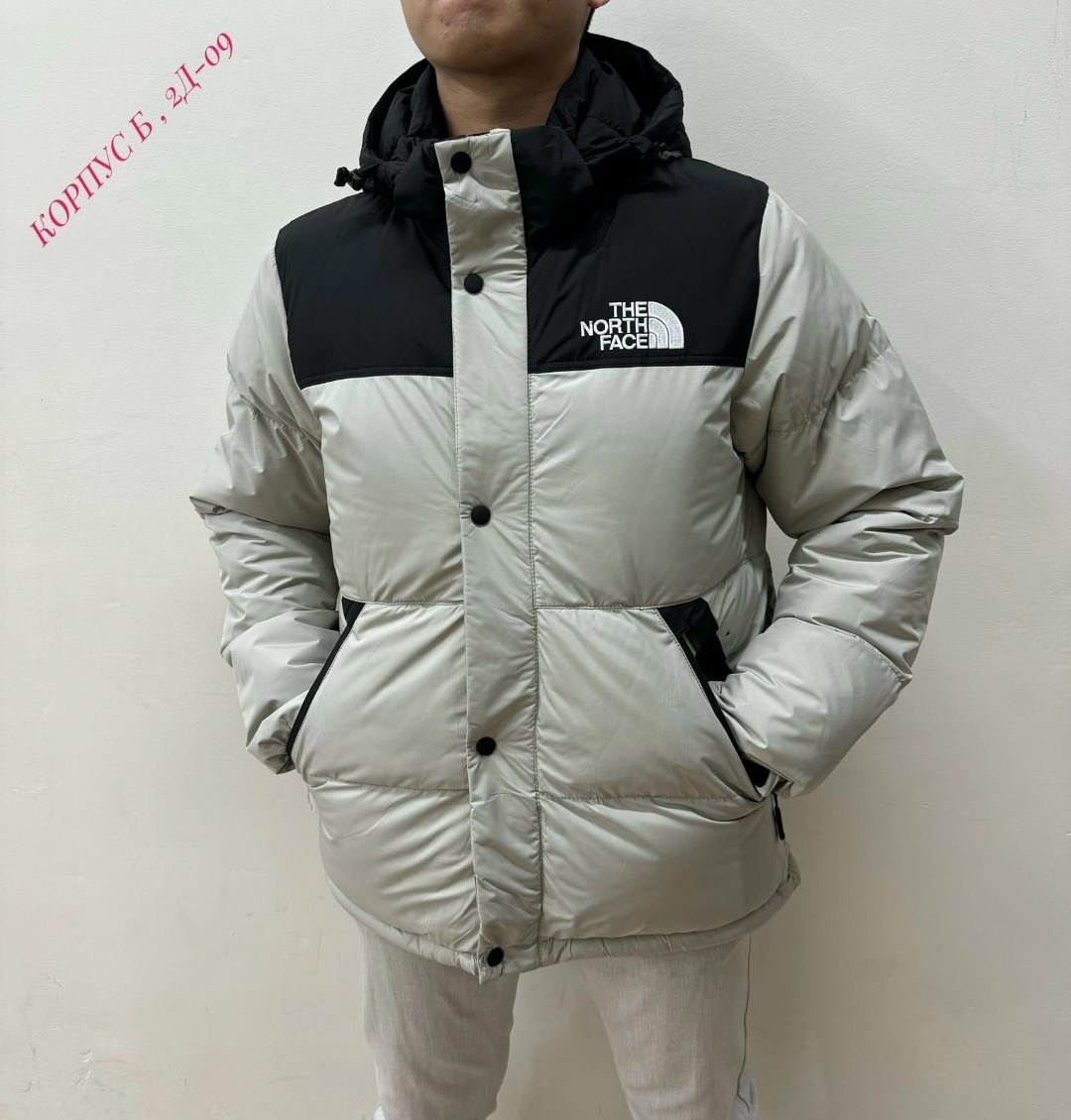 куртка мужская the north face,зимние куртки,мужская зимняя куртка,пуховик мужской the north face,куртка зимняя the north face