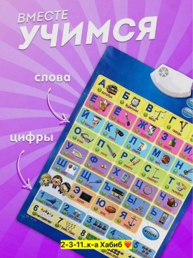 Одежда