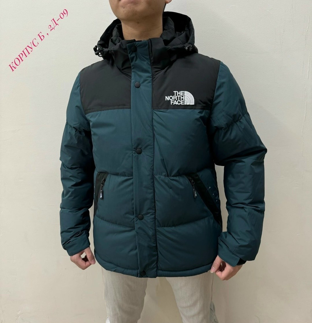 куртка мужская the north face,зимние куртки,мужская зимняя куртка,пуховик мужской the north face,куртка зимняя the north face