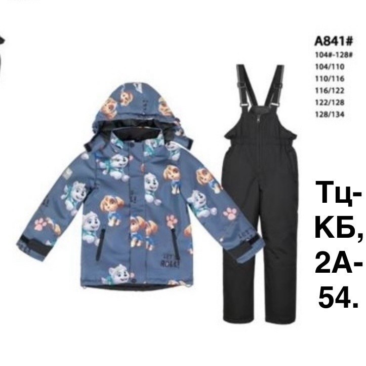 комплект верхней одежды valianly для мальчика,демисезонный комплект,комплект верхней одежды valianly,комплект верхней одежды,wirxizzy комплект демисезонный