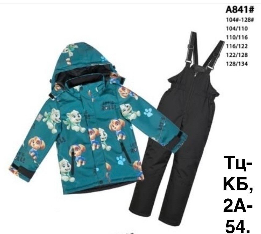 комплект верхней одежды valianly для мальчика,демисезонный комплект,комплект верхней одежды valianly,комплект верхней одежды,wirxizzy комплект демисезонный