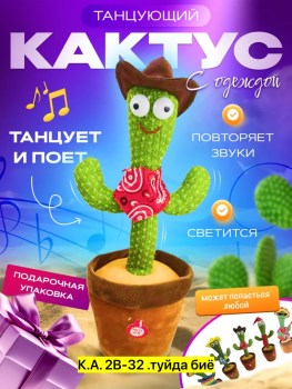 Одежда