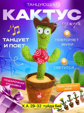 Одежда