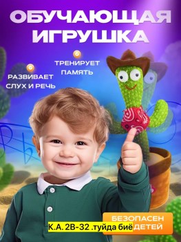 Одежда