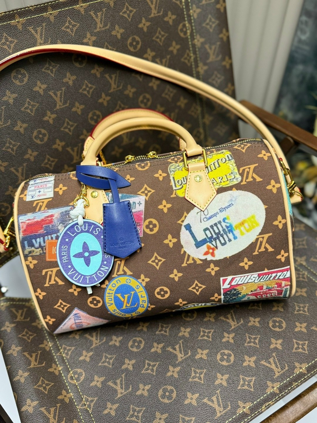женская сумка louis vuitton,дорожная сумка louis vuitton,сумка louis vuitton,сумка луи виттон,сумка спиди 30 луи виттон