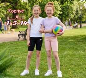 Одежда