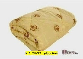 Одежда
