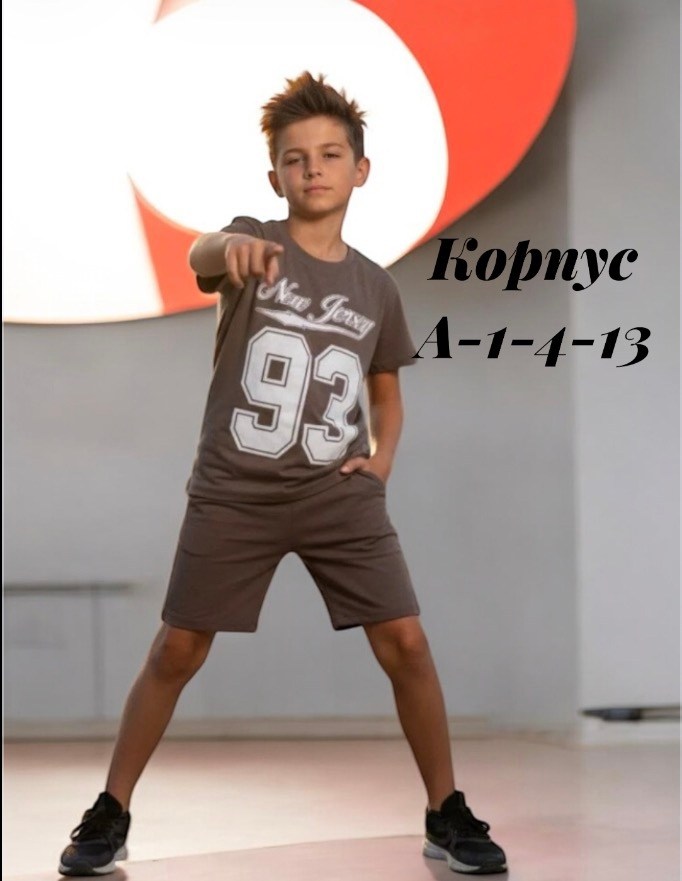 скейт,скейтер,мальчик на скейте,стиль скейтера,скейтборд деревянный