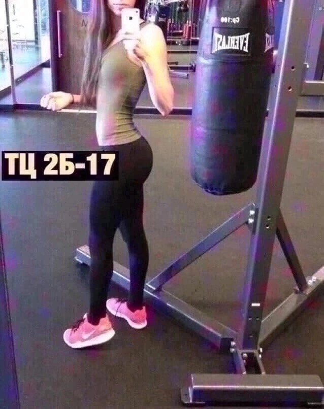 лосины женские,легинсы женские,лосины женские леггинсы,женские леггинсы,лосины и леггинсы