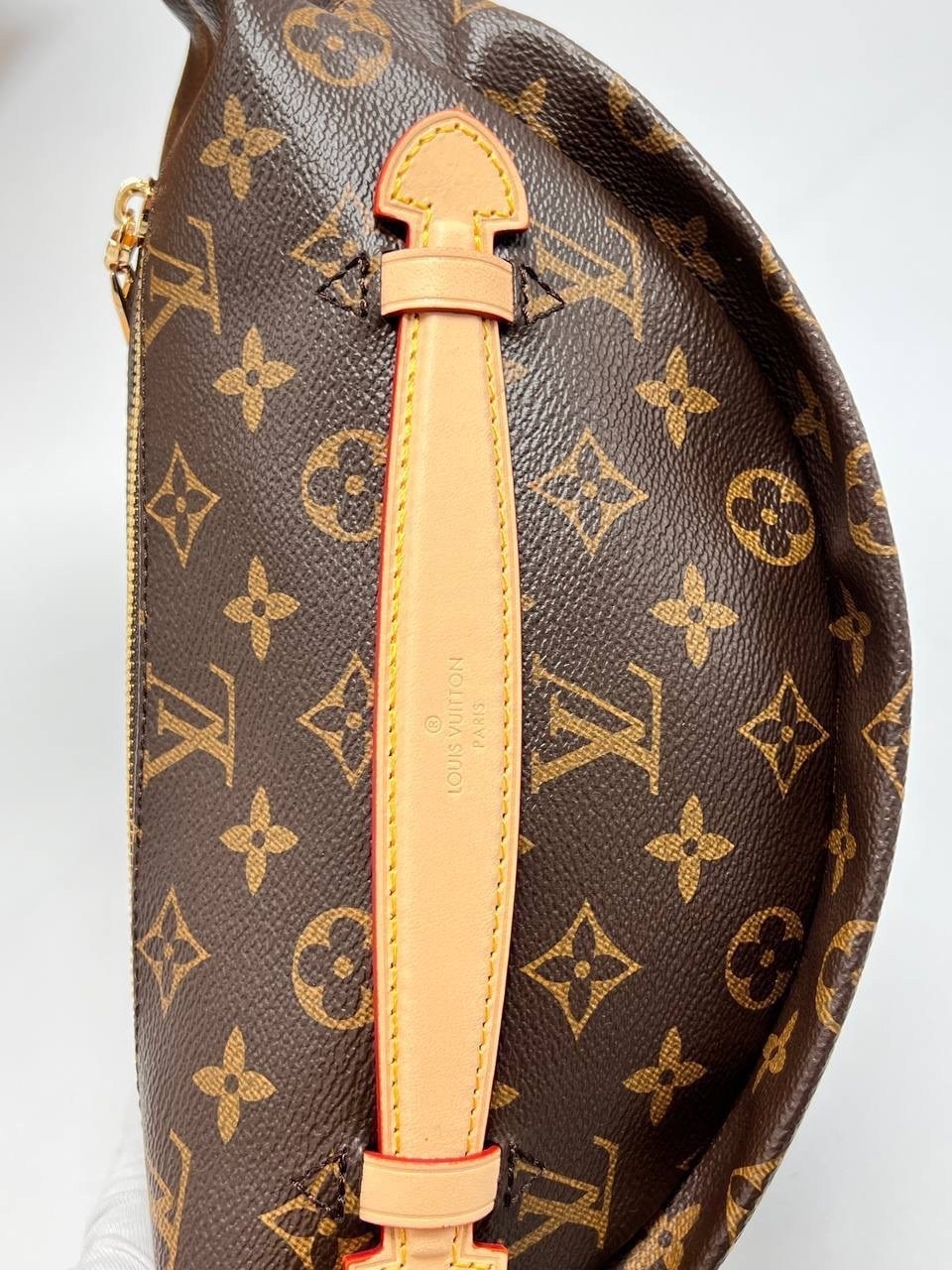 поясная сумка louis vuitton,сумка на пояс louis vuitton,сумка поясная луи виттон,женская поясная сумка louis vuitton bumbag,сумка поясная louis vuitton bumbag