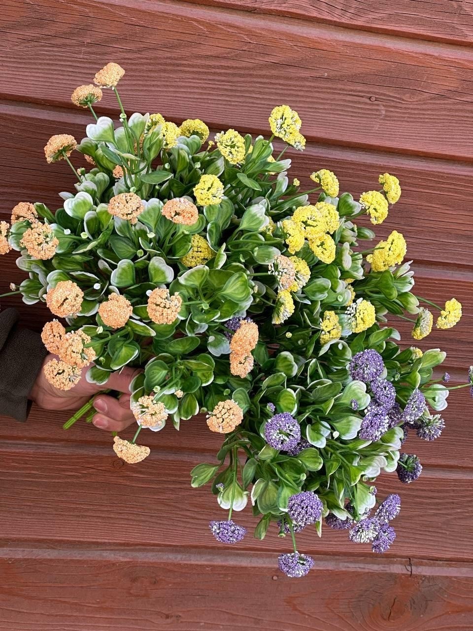 каланхоэ каландива,каланхоэ желтый,каланхоэ,каланхоэ каландива желтая,каланхоэ цветок