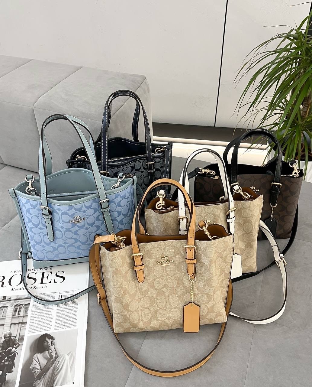 женская сумка coach,coach сумка,женская сумка,сумка,модная сумка
