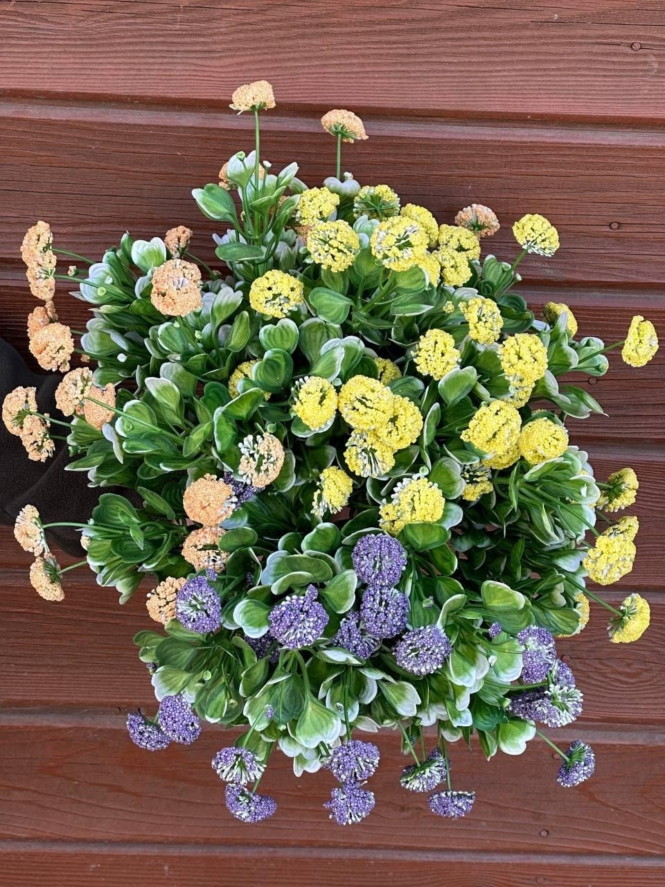 каланхоэ каландива,каланхоэ желтый,каланхоэ,каланхоэ каландива желтая,каланхоэ цветок