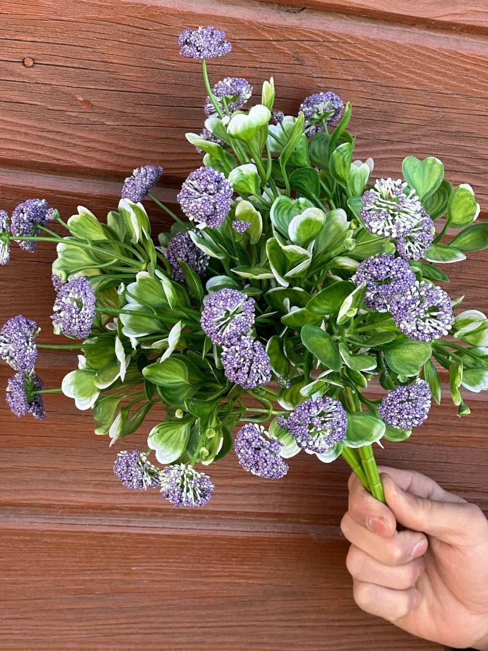 каланхоэ каландива,каланхоэ желтый,каланхоэ,каланхоэ каландива желтая,каланхоэ цветок