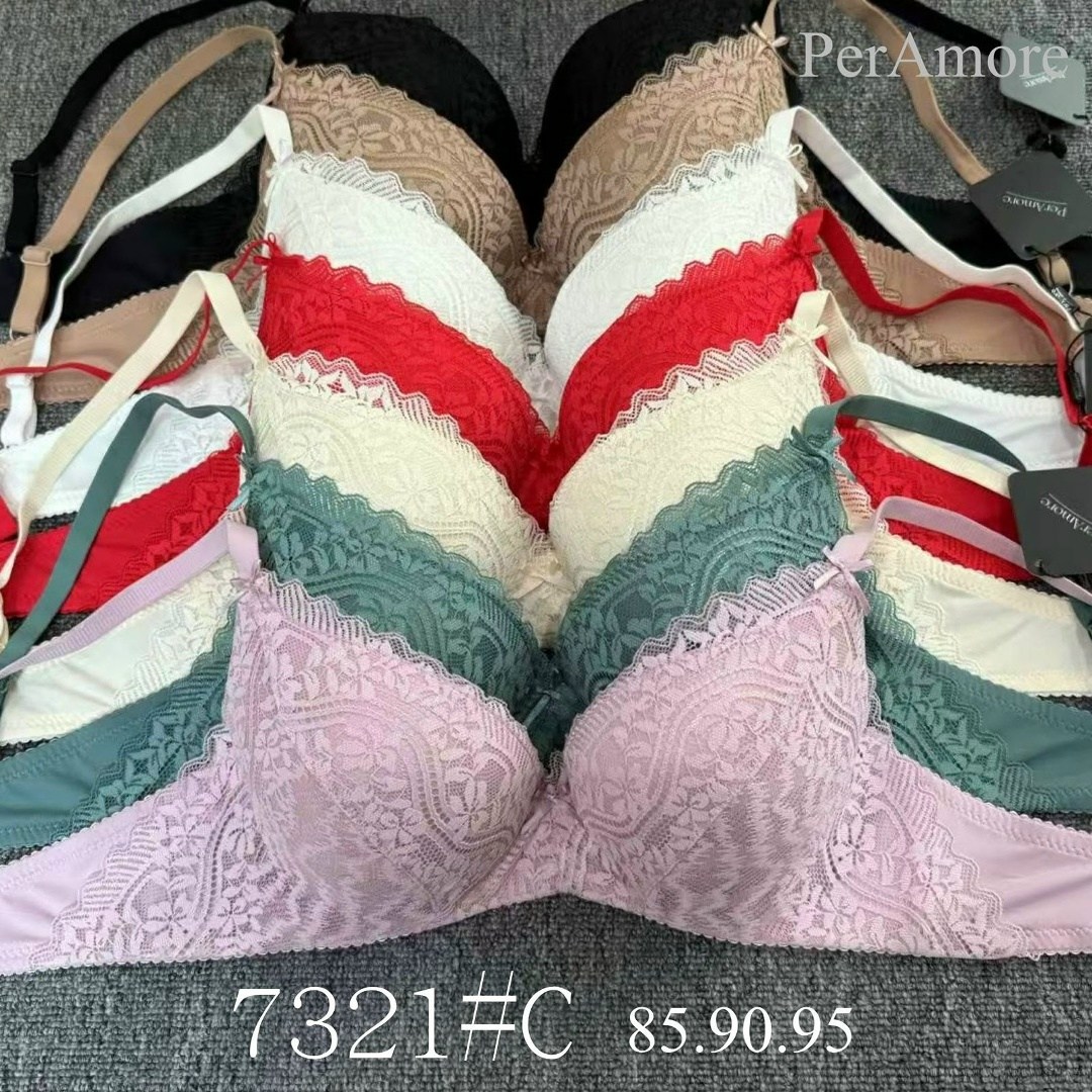 бюстгальтер комплект,бюстгальтер,нижнее белье бюстгальтер,женская нижнее белье,бюстгальтер женские