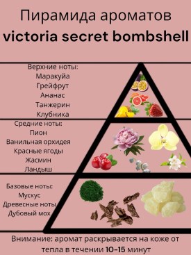 Одежда