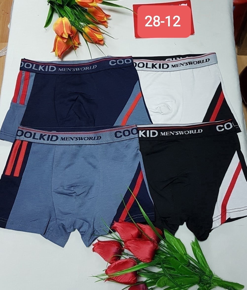 трусы мужские,комплект трусов,трусы на мальчика боксеры,белье для мальчика,комплект трусов боксеры cool kid для мальчиков