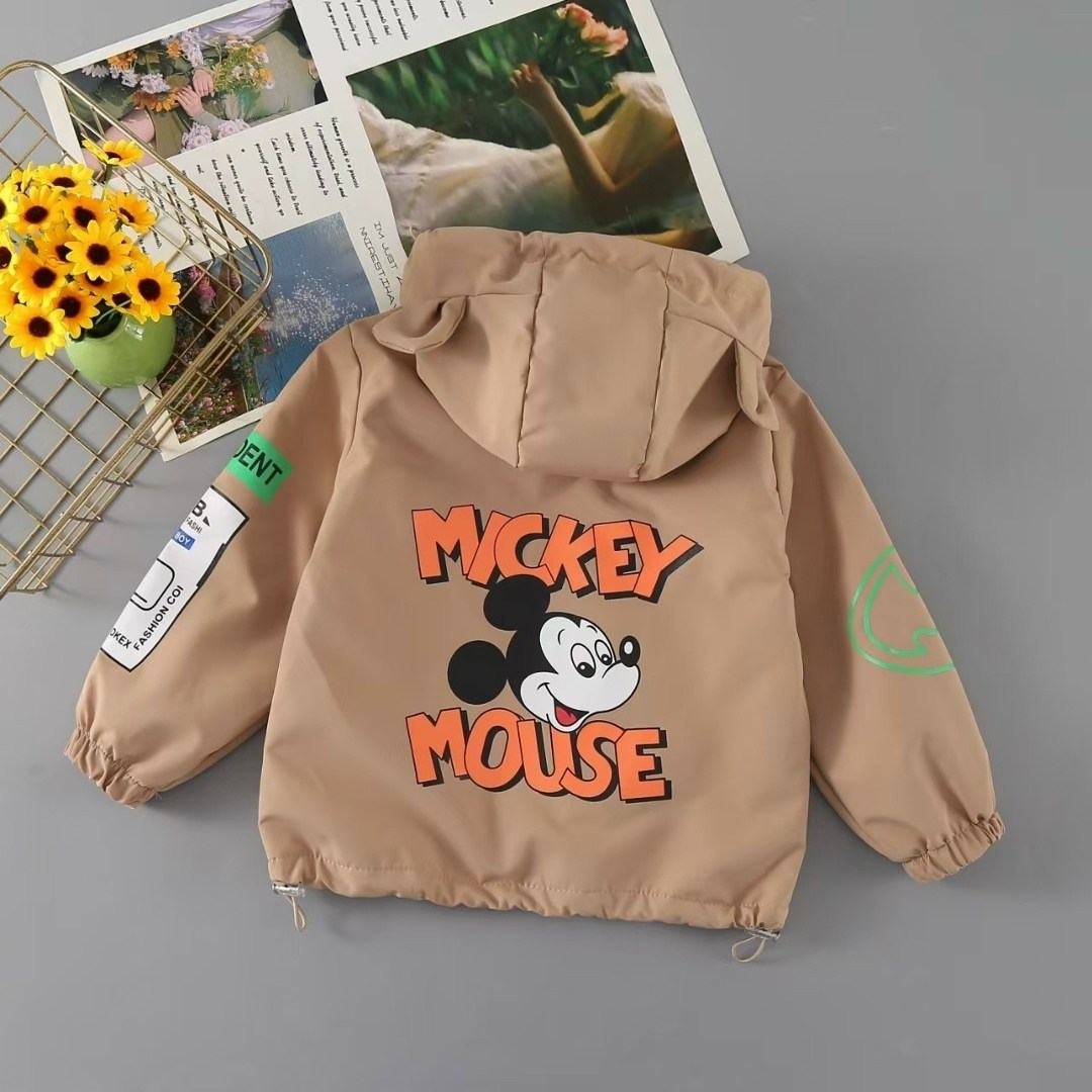 куртка с капюшоном для мальчика,куртка для малыша,куртка легкая,куртка демисезонная детская,куртка