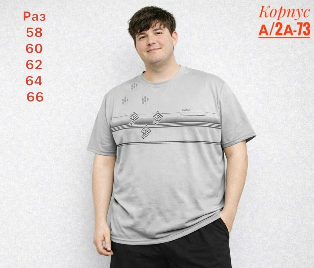 футболки мужские,футболка мужская большие размеры,футболки мужские с принтом,футболка мужская с принтом большой размер,футболка мужская серая