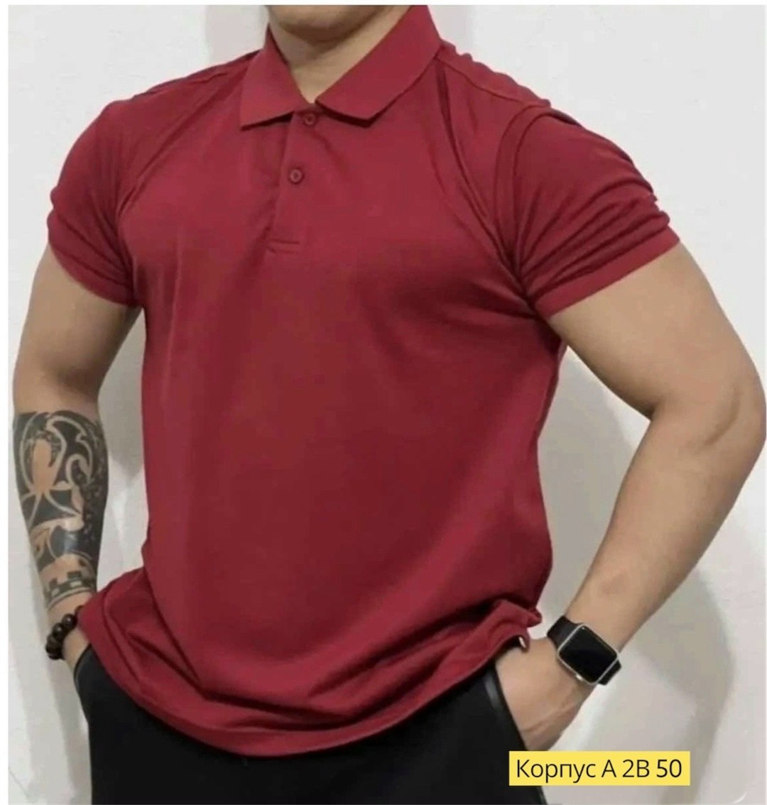 мужская футболка поло,мужская футболка,мужские поло,мужская мода,мужская одежда