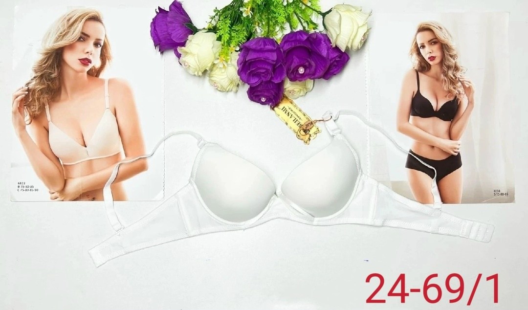 бюстгальтер с пуш ап,бюстгальтер женские,бюстгальтер,нижнее белье бюстгальтер,бюстгальтер комплект