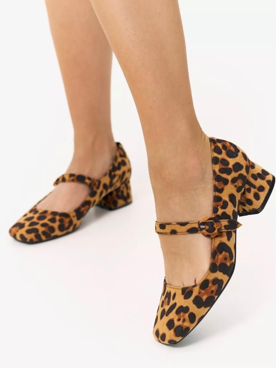 леопардовые туфли,asos shoes туфли леопард,туфли на низком каблуке леопардовые,леопардовые туфли unisa,туфли женские на каблуках