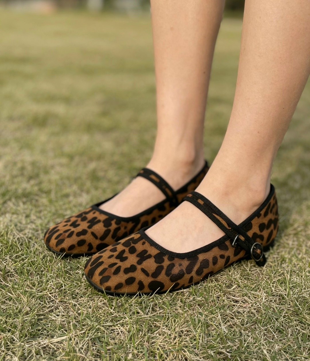 леопардовые балетки с ремешком летние fogo 312973247,балетки леопардовые летние с квадратным носом и ремешком shatilova m.v.,леопардовые балетки,балетки леопардовые летние с квадратным носом и ремешко