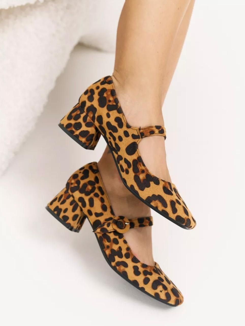 леопардовые туфли,asos shoes туфли леопард,туфли на низком каблуке леопардовые,леопардовые туфли unisa,туфли женские на каблуках