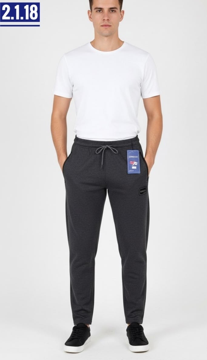 брюки спортивные мужские,штаны мужские спортивные,спортивные штаны лакост мужские,спортивные брюки,спортивные штаны