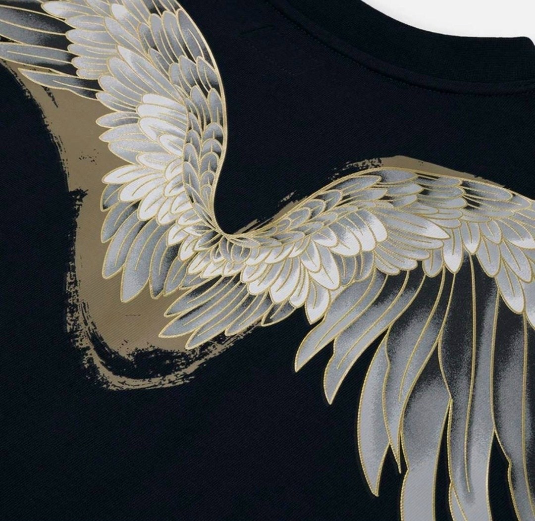 футболка с крыльями,футболка с принтом,универсальные футболки,одежда футболка