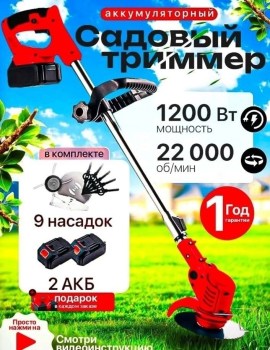 Одежда