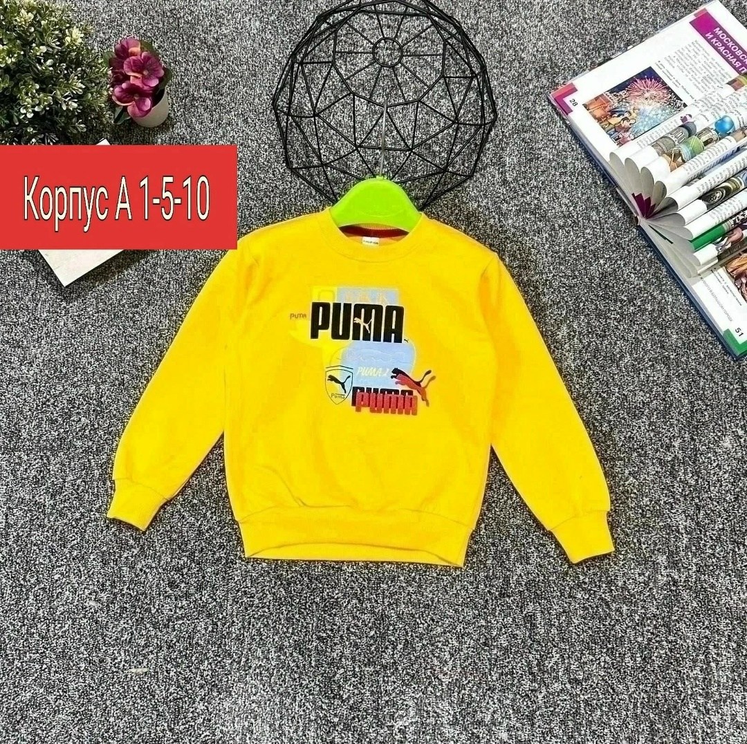 толстовка кофта,детский свитшот,кофта свитшот,кофта детская,свитшот для детей