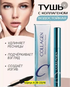 Одежда