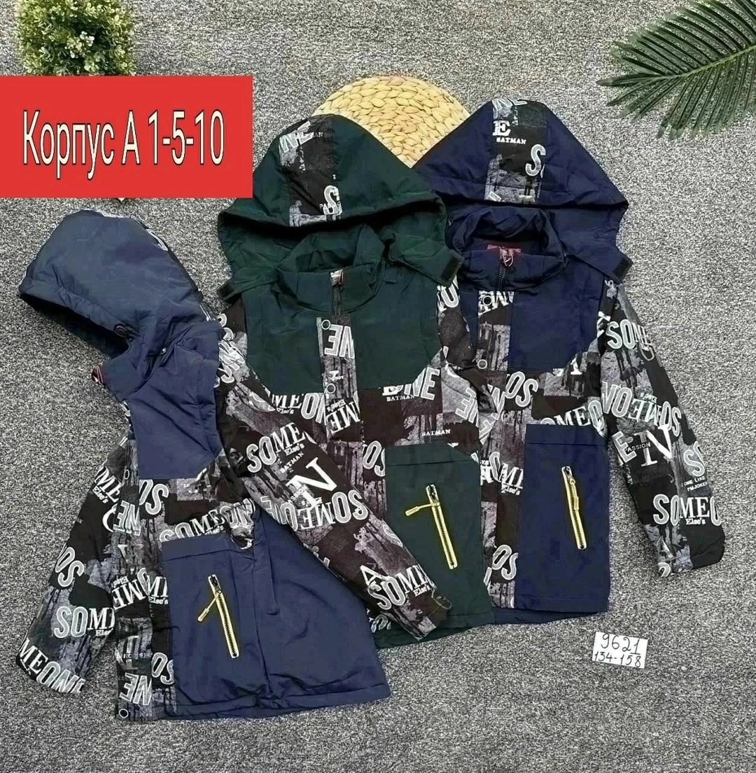 куртка детская демисезонная,куртка на мальчика демисезонная,демисезонная куртка,куртка на мальчика,куртка детский