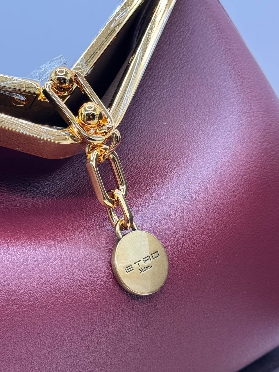 сумки,сумка,модная сумка,сумки женская,сумки для женщин