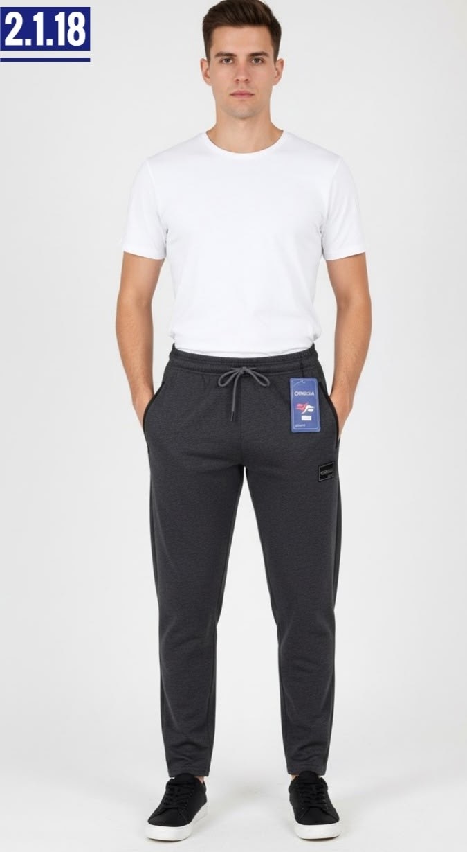 брюки спортивные мужские,штаны мужские спортивные,спортивные штаны лакост мужские,спортивные брюки,спортивные штаны