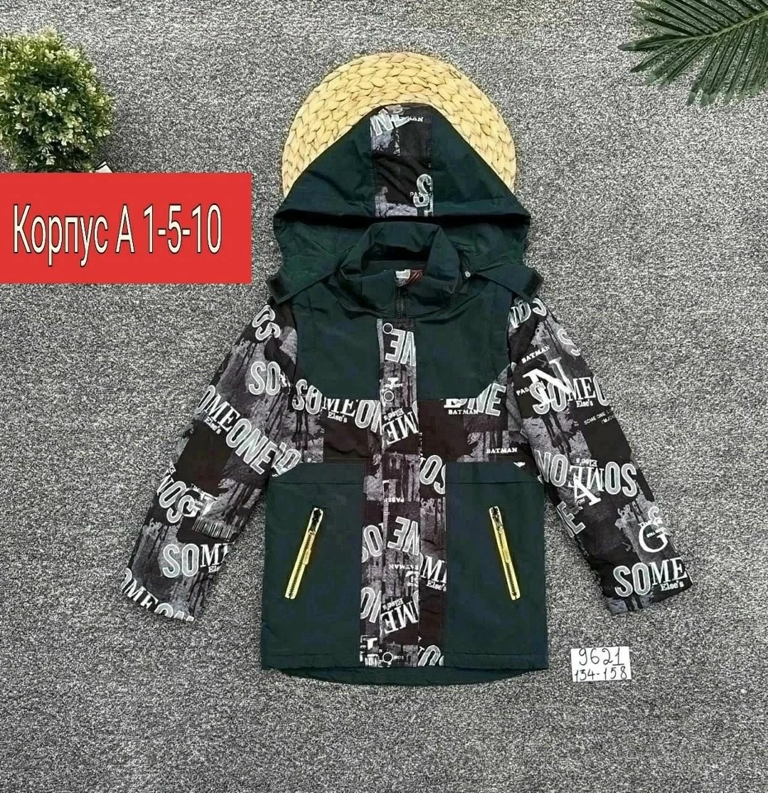 куртка детская демисезонная,куртка на мальчика демисезонная,демисезонная куртка,куртка на мальчика,куртка детский
