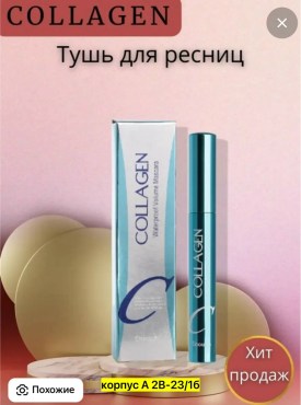 Одежда